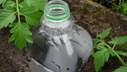Използването на пластмасови бутилки - градина за цялото семейство - практически градинарство