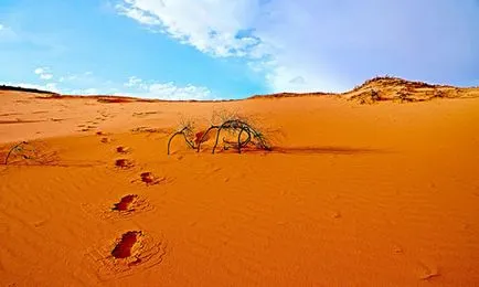 Desert álmodott, mi az, ami a sivatagban álom