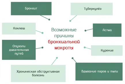 Причини за възникване на бронхиална слуз - как да се облекчи дишането