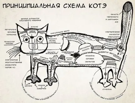 Схема на Коте - котка на деня - блогове