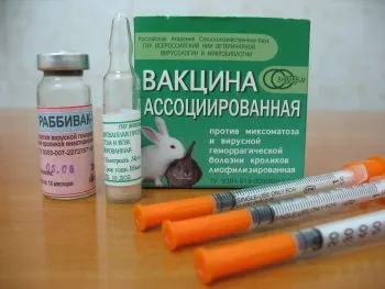 Vaccinările iepuri atunci când vaccinări fac schema, instrucțiuni, cum se păstrează