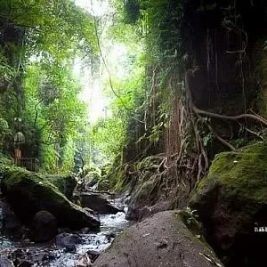 Ghid pentru Ubud ceva de făcut, un loc de a trăi și că acolo