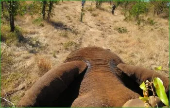 Călătorește în Victoria Falls în luna mai, turism