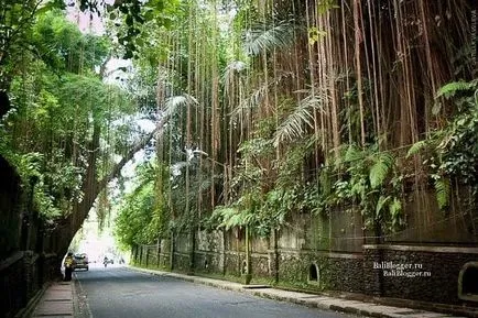 Ghid pentru Ubud ceva de făcut, un loc de a trăi și că acolo