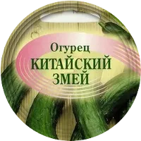 Ние ще се разбере по видове! Кога да засадят краставици Zozulya, април, китайски и други разсад,