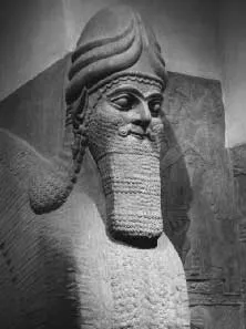 Află! Hammurabi - Regele Hammurabi - Hammurabi