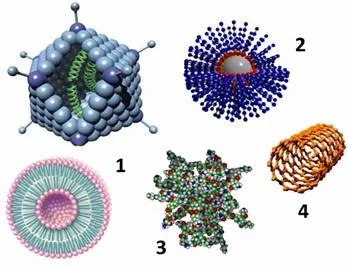 Abstract lipid epidermális barrier - összefoglalók Bank, esszék, jelentések, projektek és disszertációk