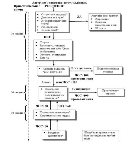 Resuscitarea nou-născuți - recomandări pentru o primă urgență medicală - articolul