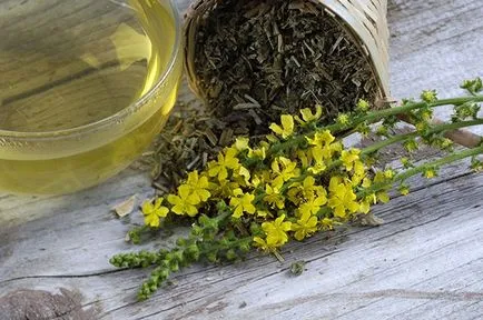 Agrimonia Eupatoria proprietăți utile și contraindicații 1