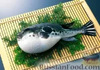 fugu