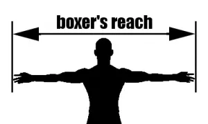 Bogat (REACH) în box și MMA