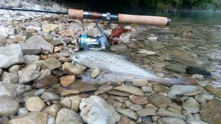 Риболов в Абхазия