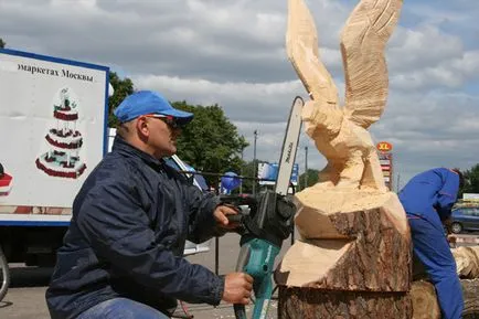 Láncfűrész faragott fa kezdőknek fotók és videó tanulságok