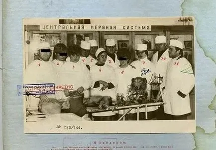 Руската власт през 1958 г.