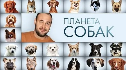 Prezentator „Dog Planet“ Grigoriy Manev Azerbaidjan, în ceea ce privește Cynology - uimitoare