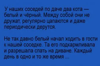 Sasha, îți amintești cum ne-am întâlnit din întâmplare