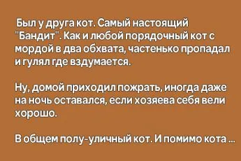 Саша, помниш ли как се срещнахме случайно