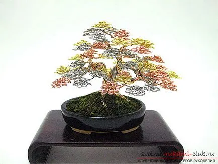 Asigurați-vă sârmă bonsai cu mâinile