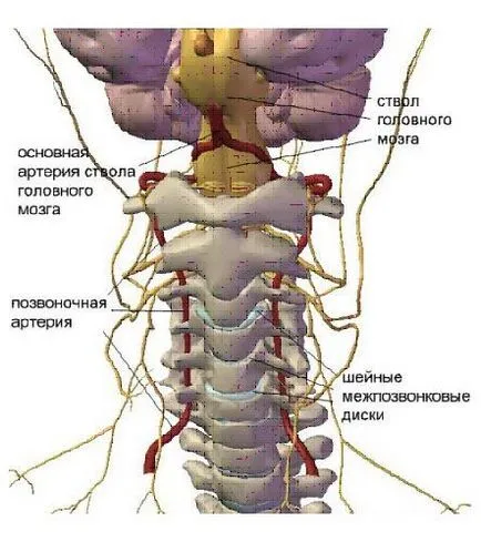 Bump pe coloanei vertebrale cervicale osteohondroză, lipom, aterom și miogeloz