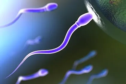 Hány élő spermium van egy egyértelmű választ