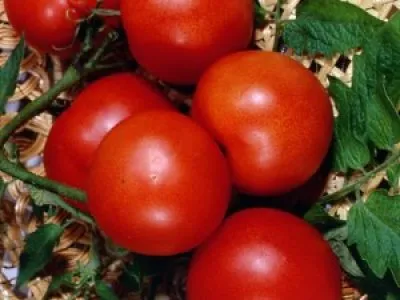 Tomate Soi - Neva descriere detaliată, caracteristicile fructelor, avantajele și dezavantajele de tomate