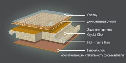 linoleum de sport pentru sala de sport instrucțiunea video de Grabo pe mâinile lor de stabilire, fotografii