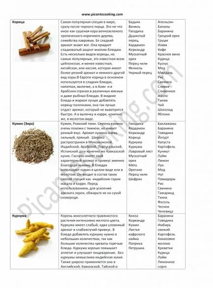 Condimente cum ar fi să păstreze, modul de utilizare, tipuri și combinații de condimente, picantecooking