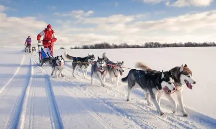 Dog echipa cea mai veche SUV