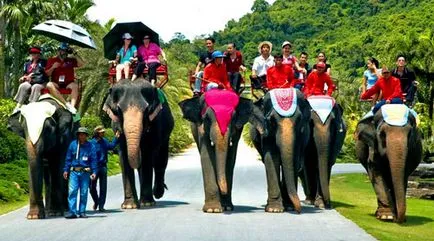 Tropical Park (grădina) Nong Nooch în Pattaya