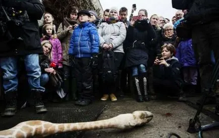 Убийството на жираф в зоологическата градина в предната част на посетители