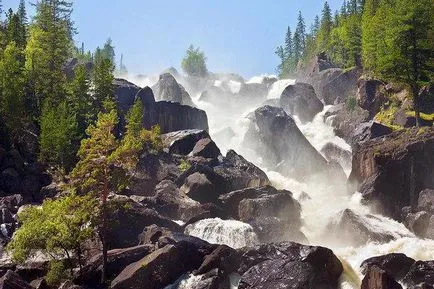 ciuperci cabana Piatra din Altai