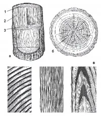 Structura de lemn - Muzeul de lemn