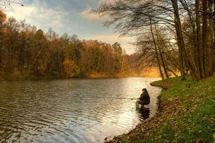 Structura, aspectul și miercuri Opisthorchis habitat