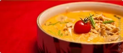 Supa de Thai Tom Yam cu carne de pui și creveți, comandanții de țară