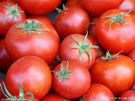 Тайните на отглеждането на домати
