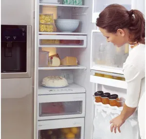 Temperatura din frigider și congelator