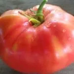 Tomate „trandafir miracol“ caracterizare și descrierea soiului