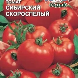 tomate Siberian descriere soiuri de maturare, recenzii, fotografii