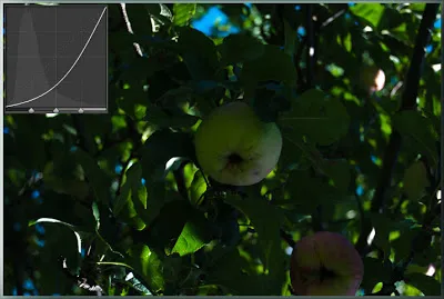 Tone Curve програма Lightroom