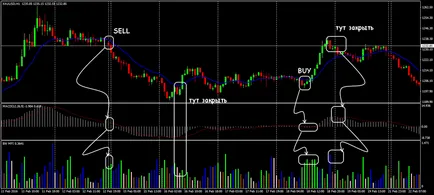 Aur Forex comerciale, strategia pentru stocul de comercializare pentru aur