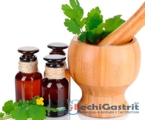 Plante medicinale pentru tratamentul gastric colectare gastric și intestinal