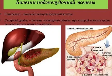 Gyógynövények kezelésére hasnyálmirigy néhány gyógynövény növények és ivás betegségek