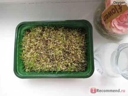 Grass Universal Pet alpesi rétek - „fű nem minden macska! részletes