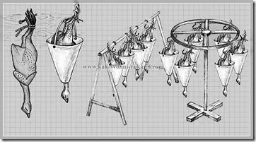 Sacrificarea și prelucrarea de păsări de curte la domiciliu (foto), mâinile - cum să profite la maximum