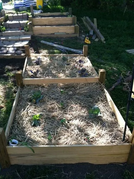Парцелът на склона на това как да се организира малка градина