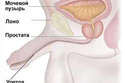 Уретрит при мъжете, симптоми, лечение и превенция