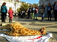 Uciderea unei girafe Marius