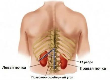 Exercitii pentru gimnastica de substituție renală