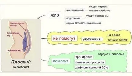 Каква е причината за отсъствието на еластичната плосък корем