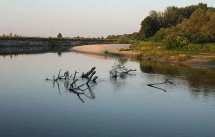 Shed o mare de pescuit vierme de pământ pentru somn la noapte de pescuit pe măgar măgar somn de pescuit